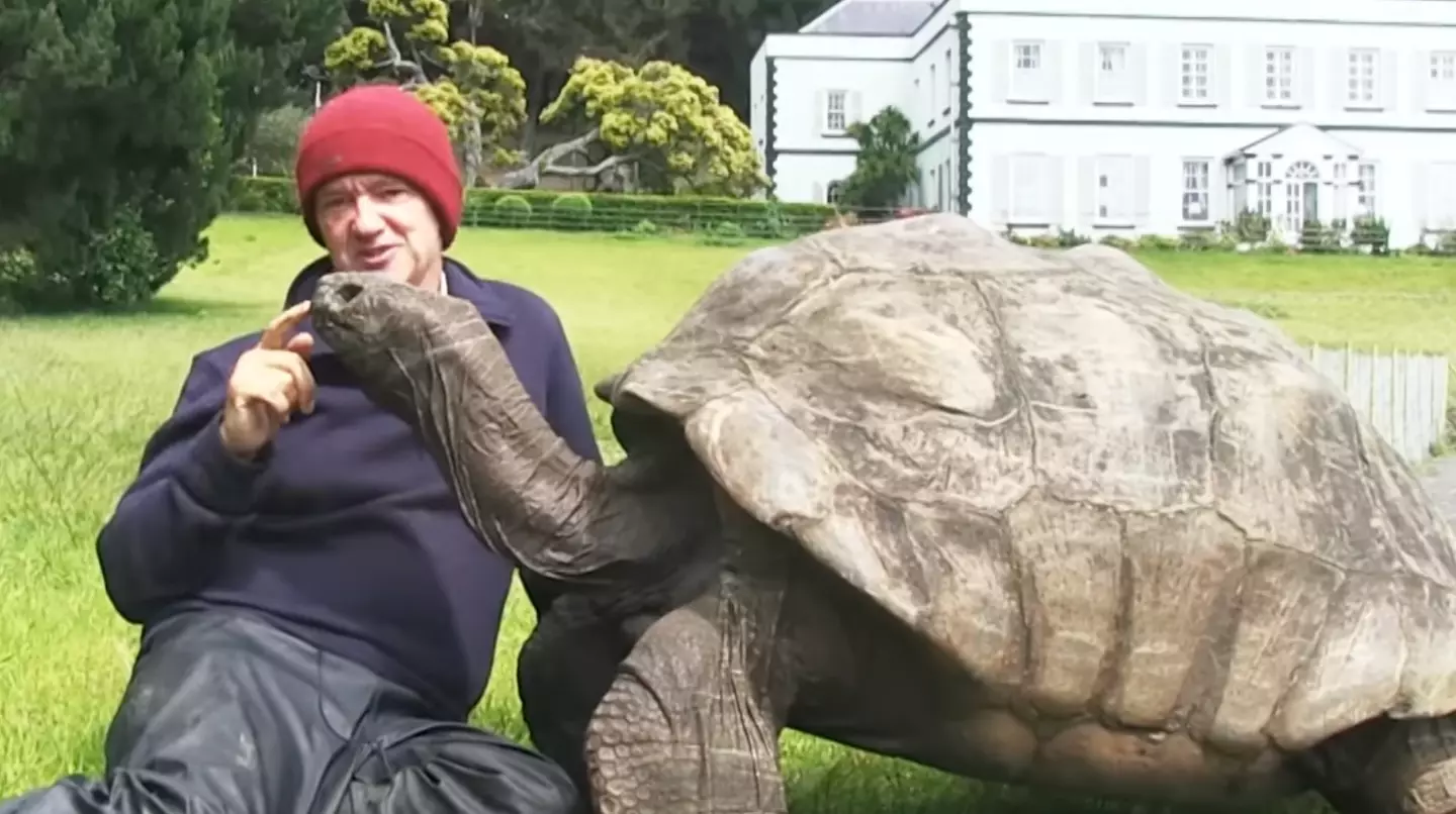 Jonathan the tortoise lives on St Helena.