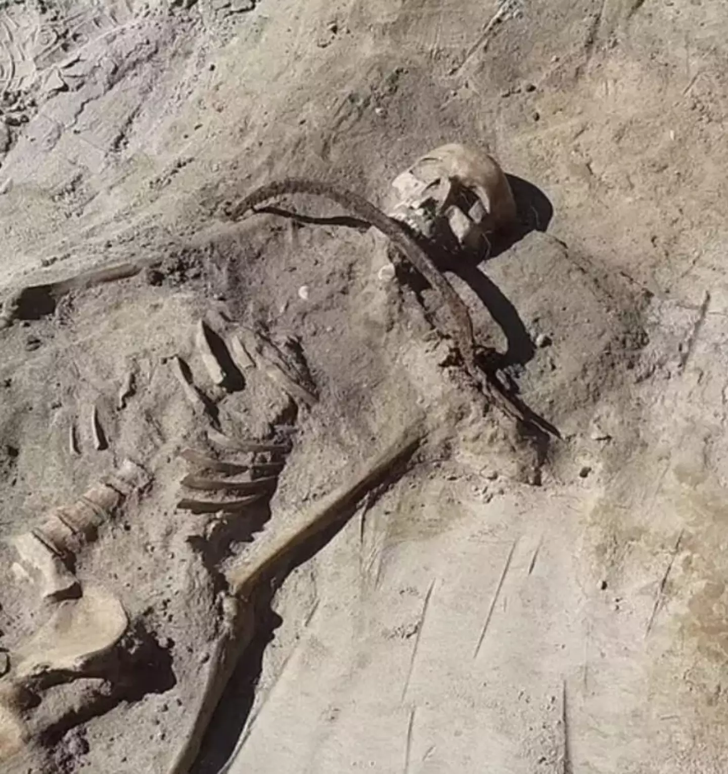 The 'vampire' skeleton had a sickle over the throat.