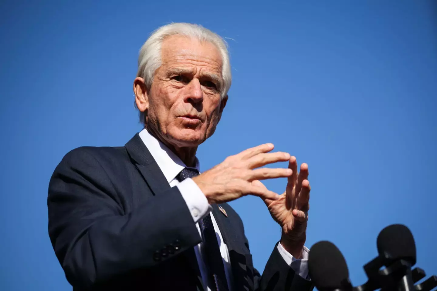 Peter Navarro, trade advisor to President Donald Trump, called out Elon Musk's Tesla during an interview with CNBC (Kayla Bartkowski/Getty Images)