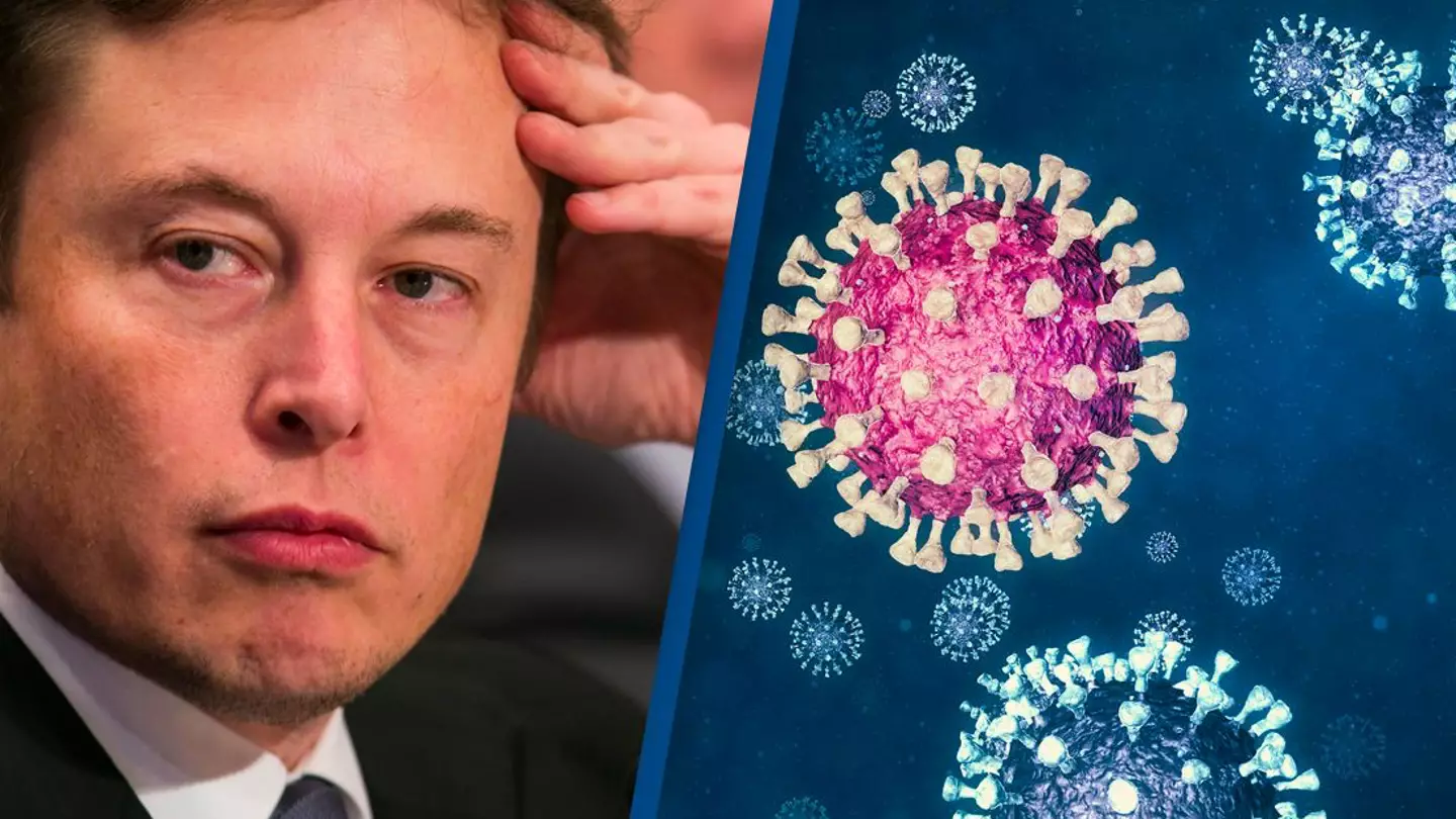 Elon Musk Reveals On Social Media He Has Covid-19