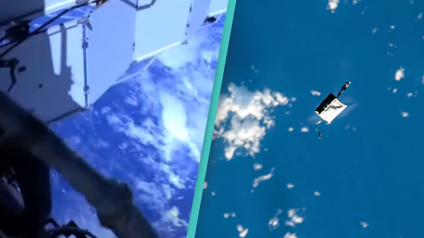 NASA/Twitter/@RikyUnreal