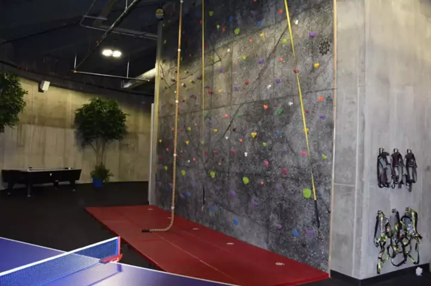 There's a climbing wall too.