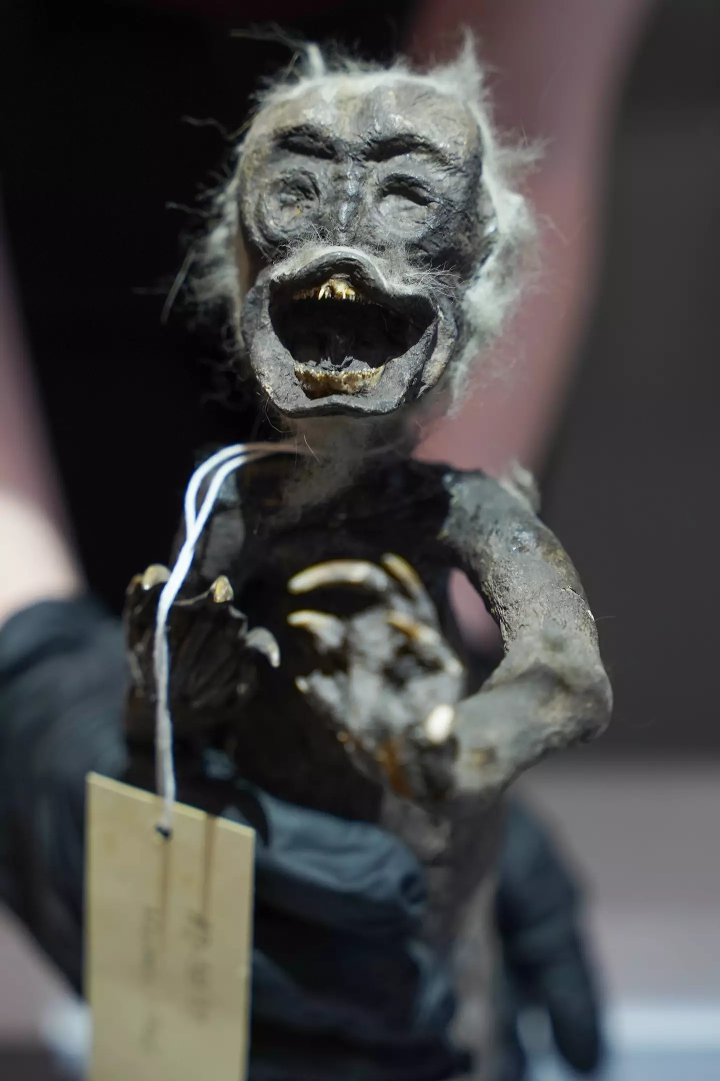 The horrifying creature is actually a 'Fiji mermaid'.