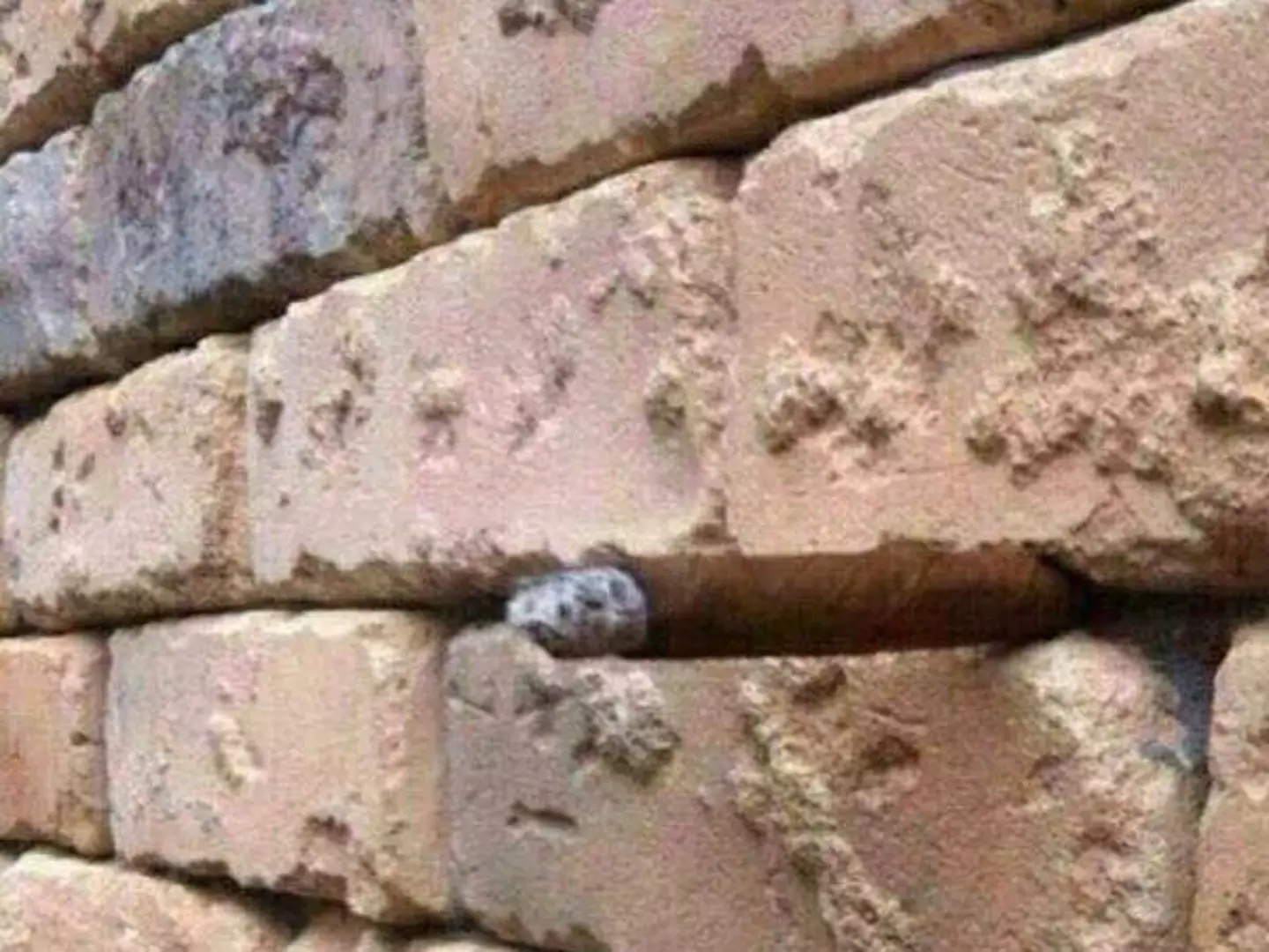 Just a perfectly normal brick wall.