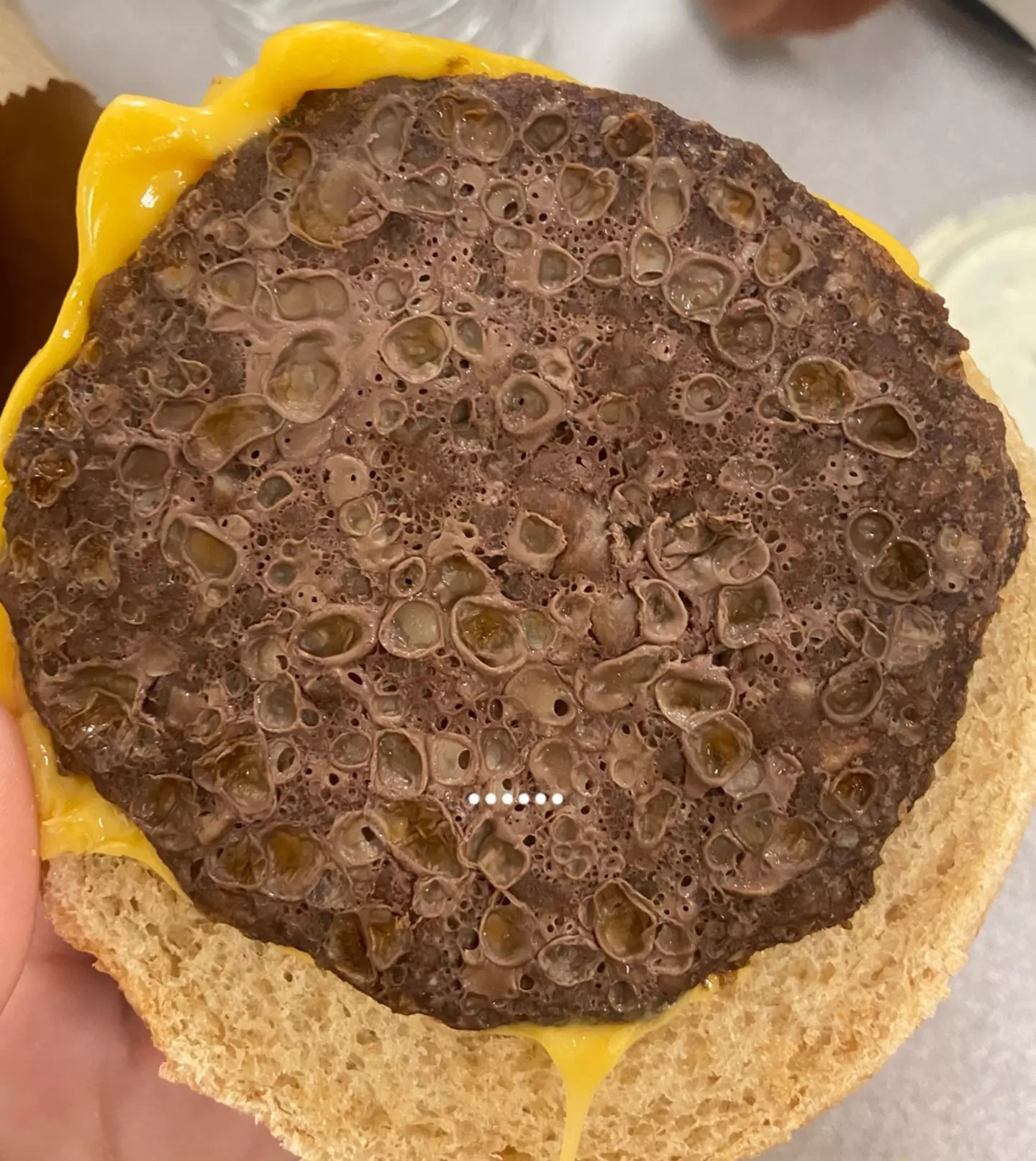 It's not hard to see why it's been nicknamed the 'barnacle burger'.