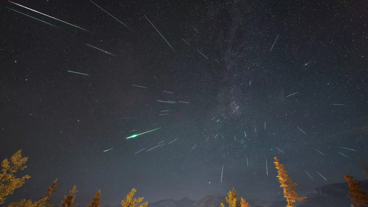 Nick Fitzhardinge/Getty Images