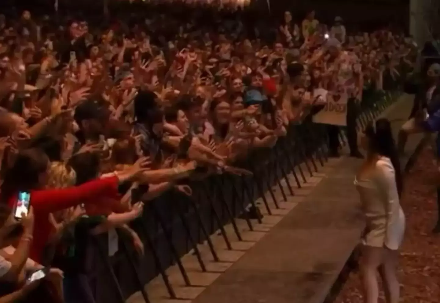 Lana Del Rey conducting her fans after the power was turned off at Glastonbury.
