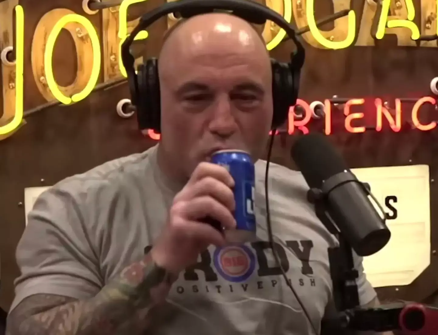Joe Rogan said the outrage was just silly.