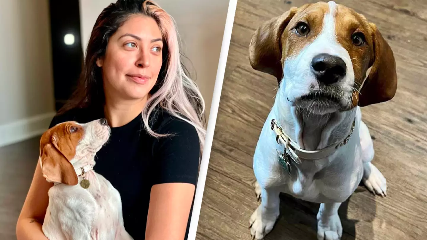 Woman who discovered her puppy alive a year after putting him down told 'he'll never go back to you'