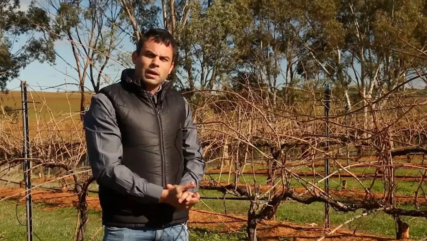 Ben was give two weeks to live (Vinemo/Taylors Wines/Blue Goanna Digital)