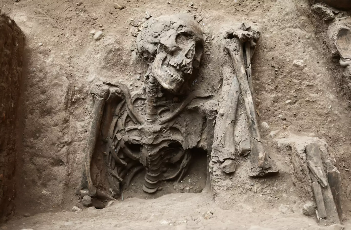 Archaeologists have unearthed the remains of 42 humans.