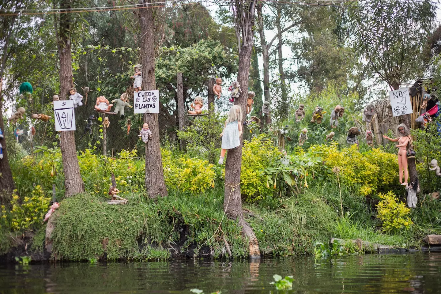 Upon arrival, he found the body of a young girl lying face-down lifeless in the water.