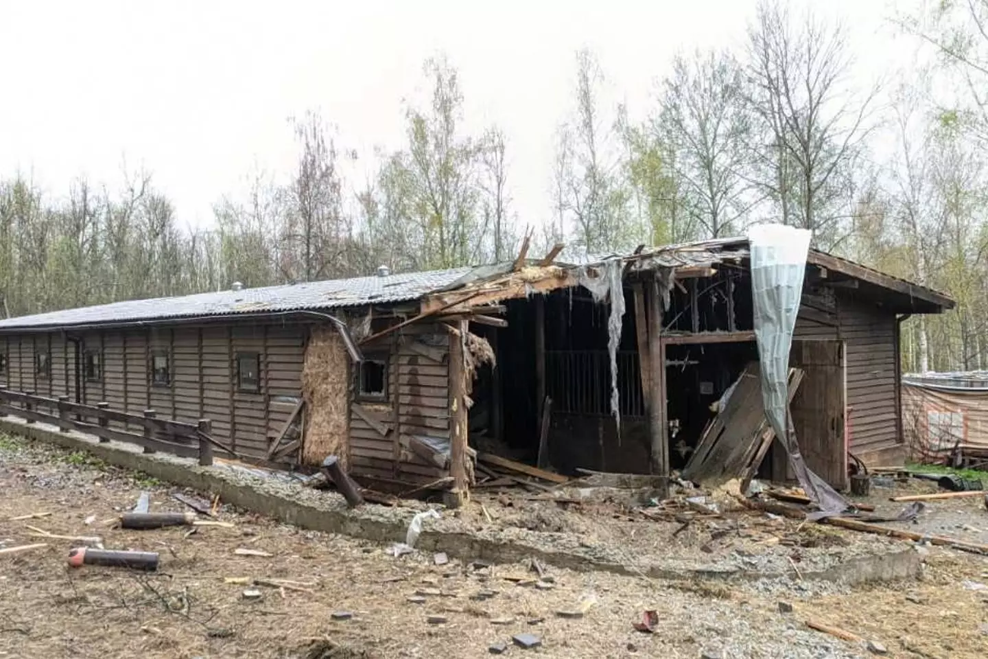 The effects of Russian shelling on Feldman Ecopark.