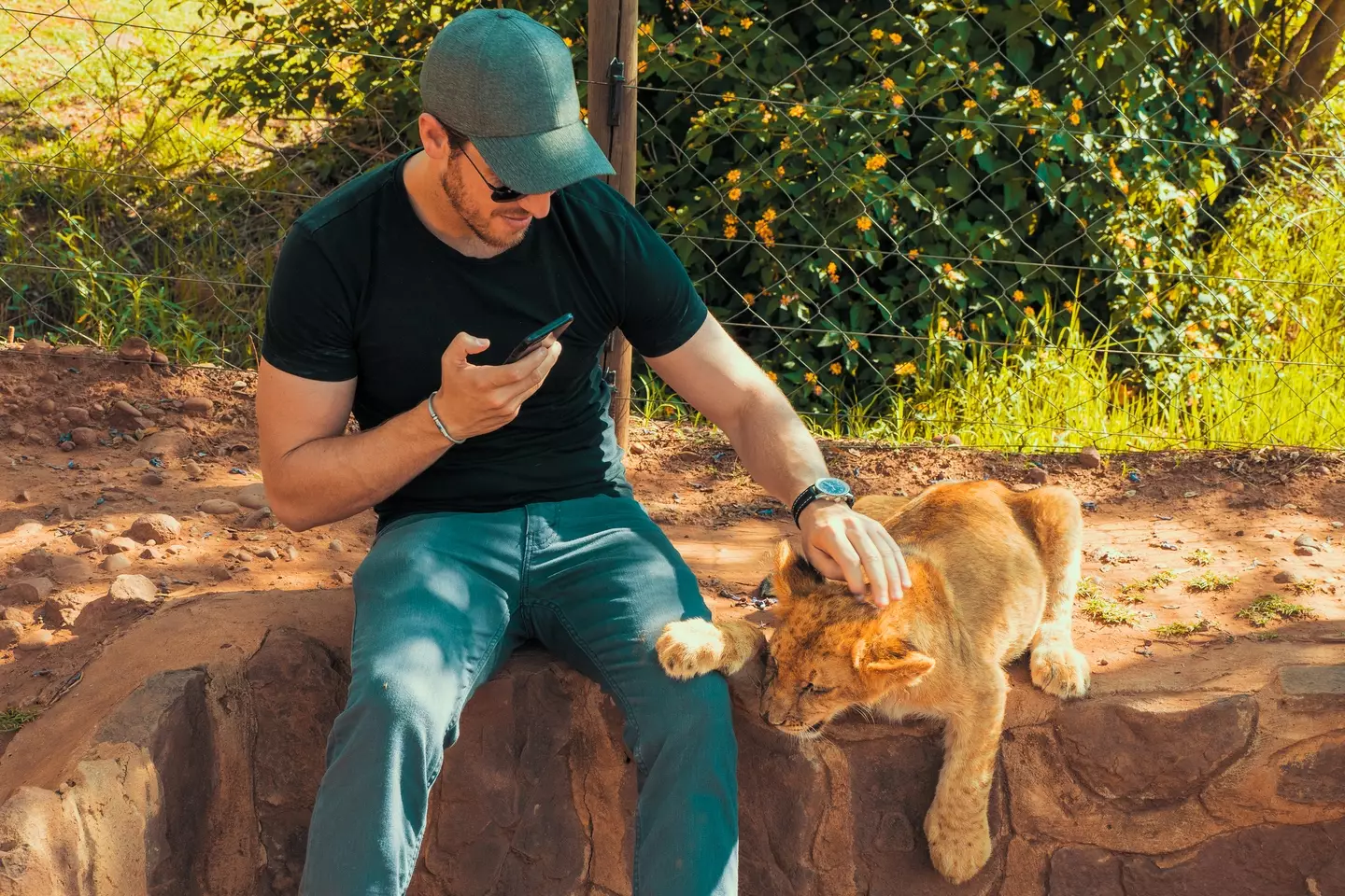 Lion cub petting is a popular tourist attraction in many countries. (aroundtheworld.photography/Getty Stock)
