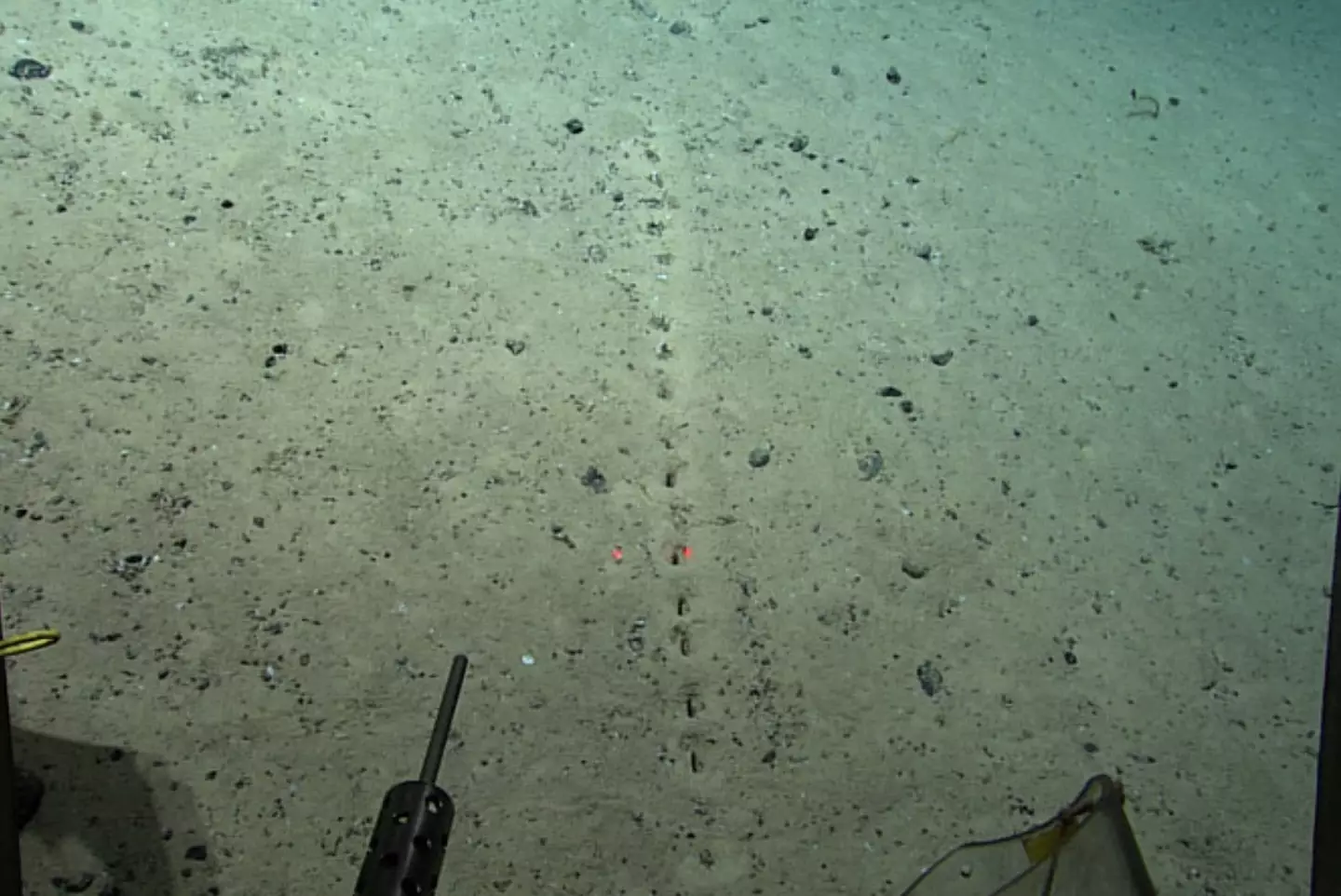 Scientists came across the identical holes last year.