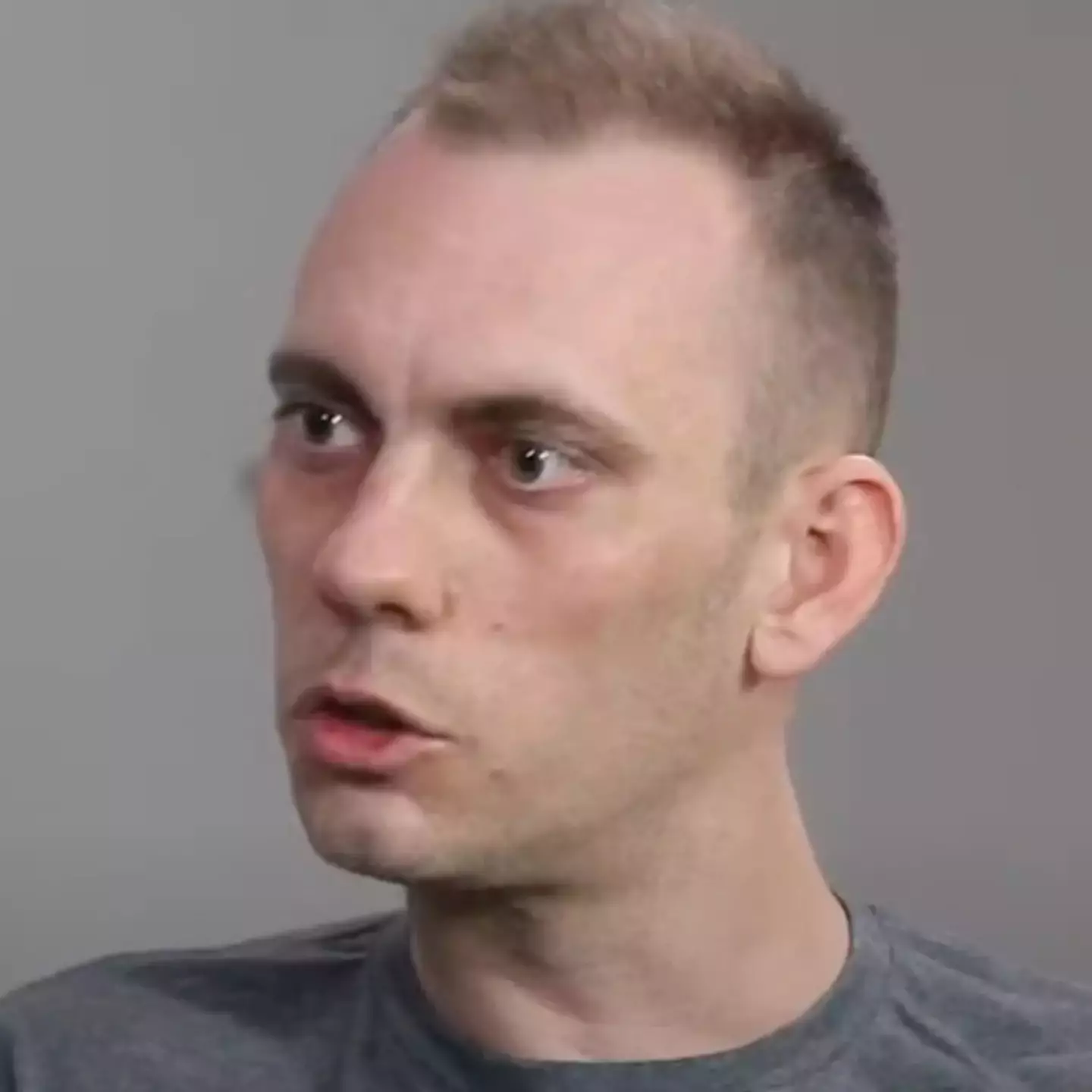 The Flat Earther appeared on a podcast (YouTube)