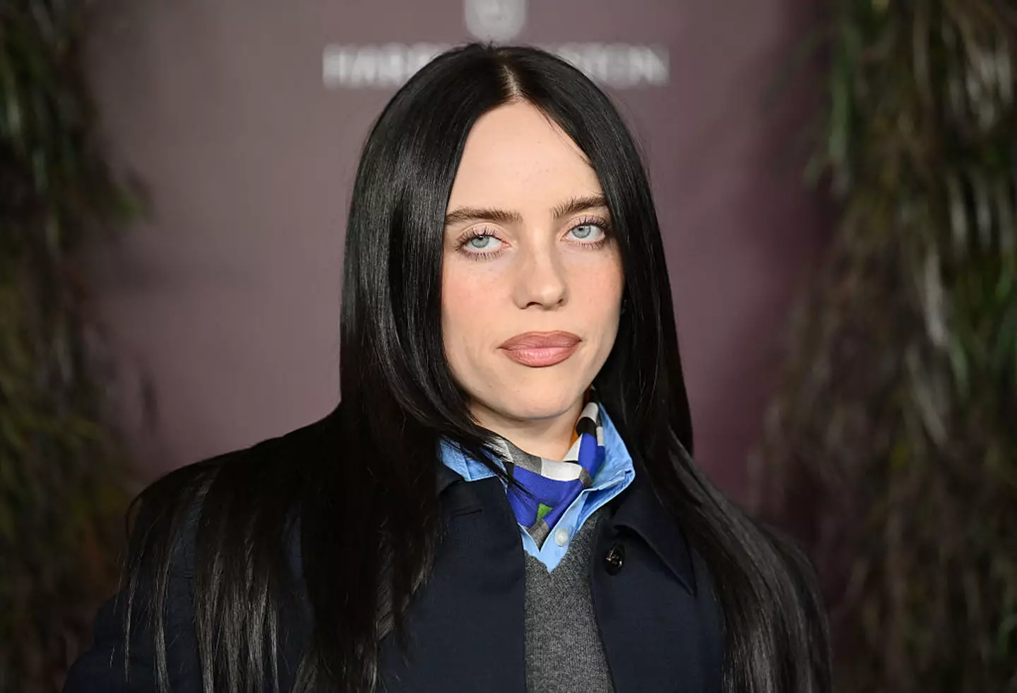 Billie Eilish has called for millionaires and billionaires to donate their money (ANGELA WEISS/AFP via Getty Images)