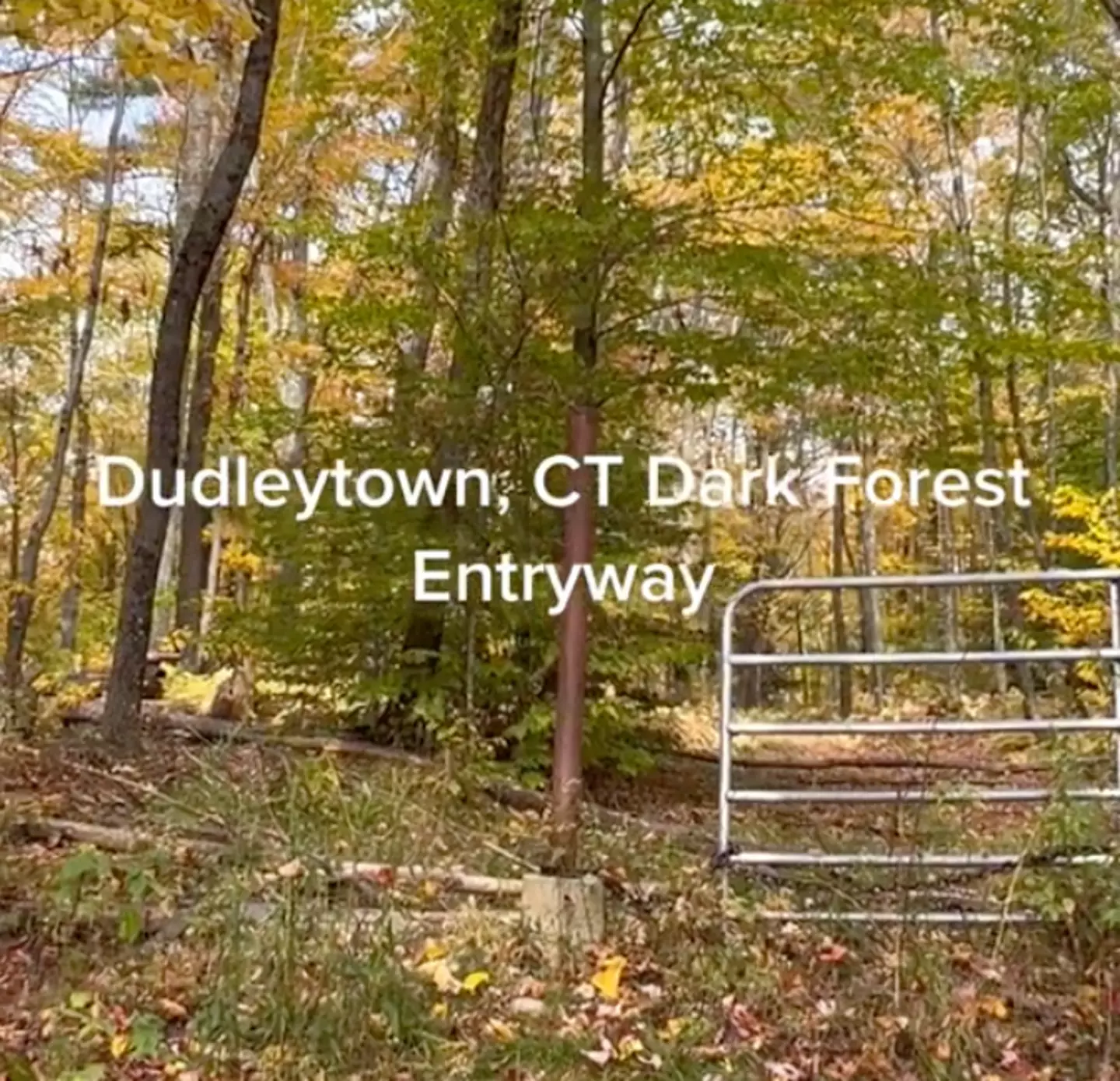 Dudleytown is located in Cornwall, Connecticut (TikTok/@dhelto79)