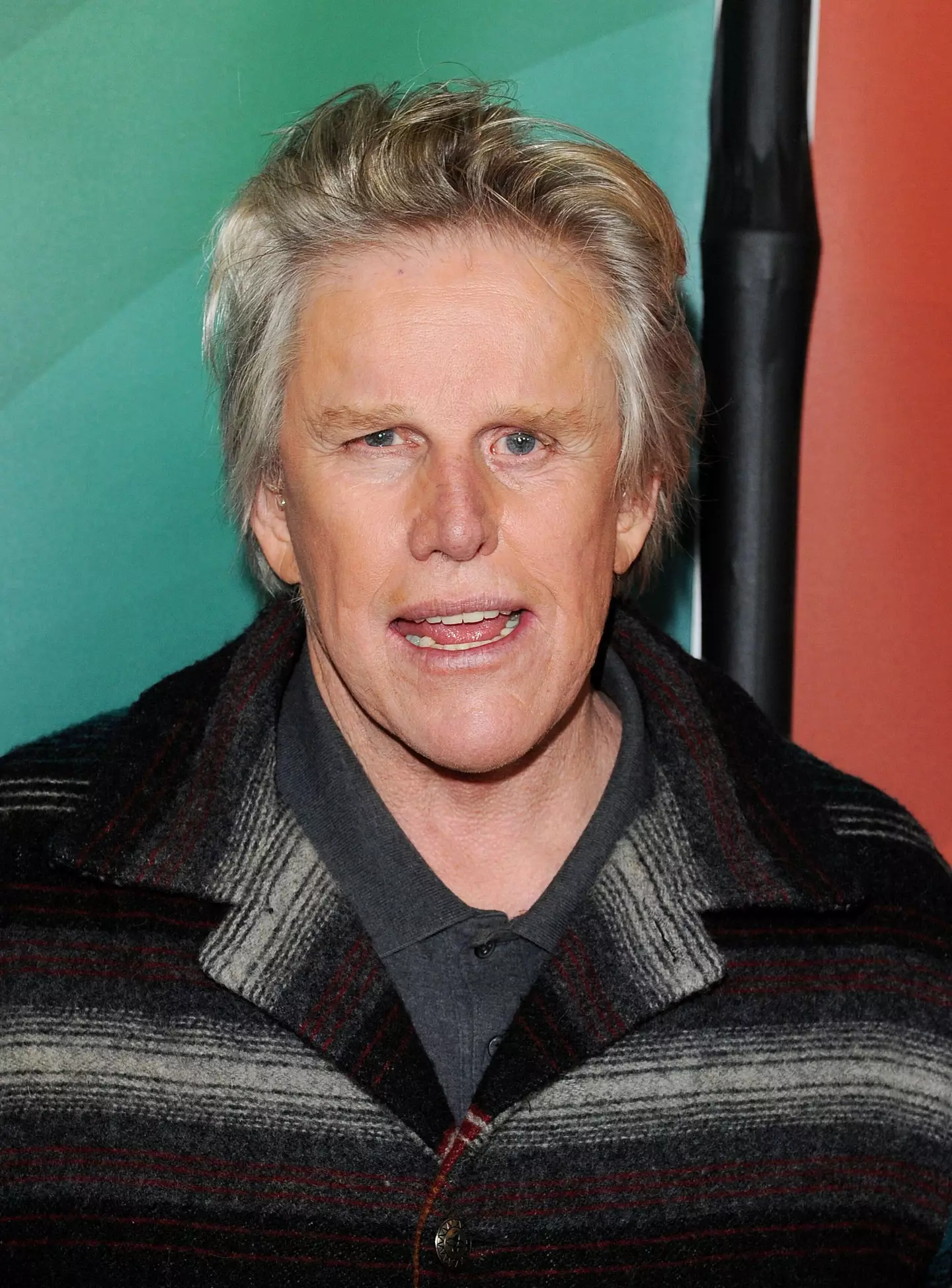 Police confirmed Busey had been charged over alleged incidents at a horror movie convention.