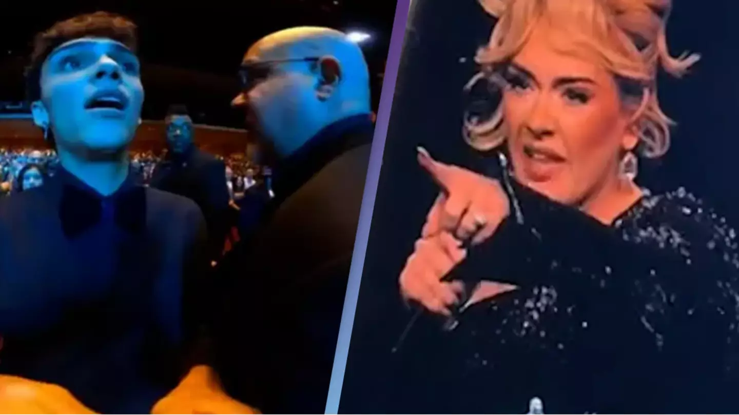 People are saying Adele was wrong to stop security from dealing with fan mid-concert