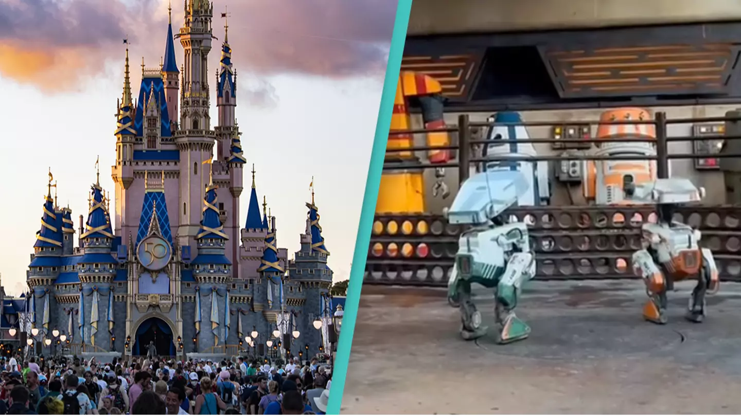 Joseph Prezioso/Anadolu Agency via Getty Images/TikTok/disneyparks