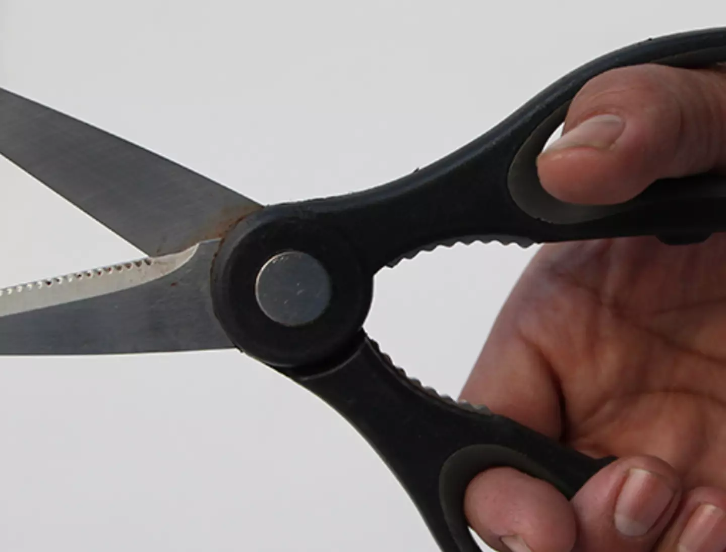 The grips in the center of the scissors can crack nuts (Getty Stock Photo)
