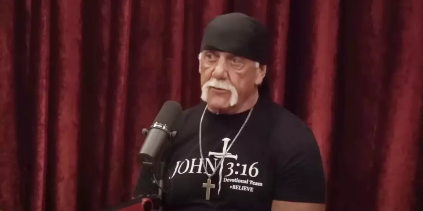 Hulk Hogan spoke to Joe Rogan about taking fentanyl.