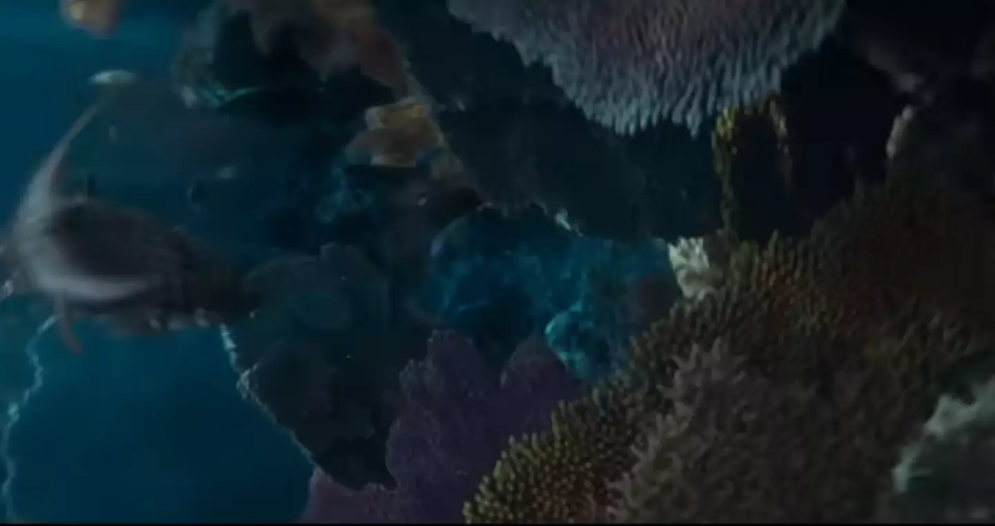The visuals of the underwater world of The Little Mermaid look incredible.