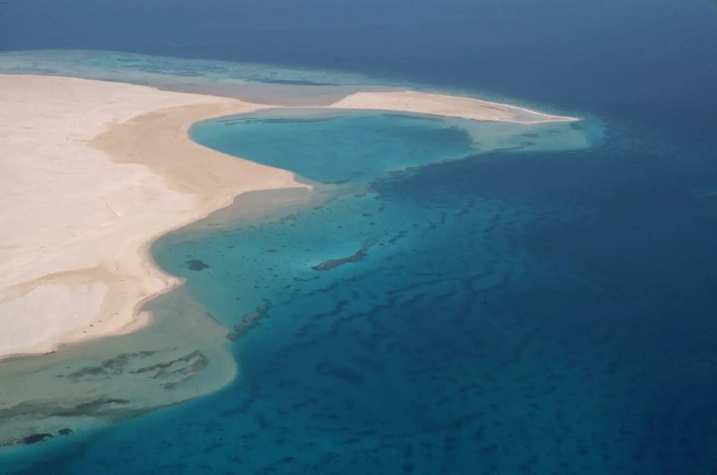 The pool was discovered in The Red Sea.