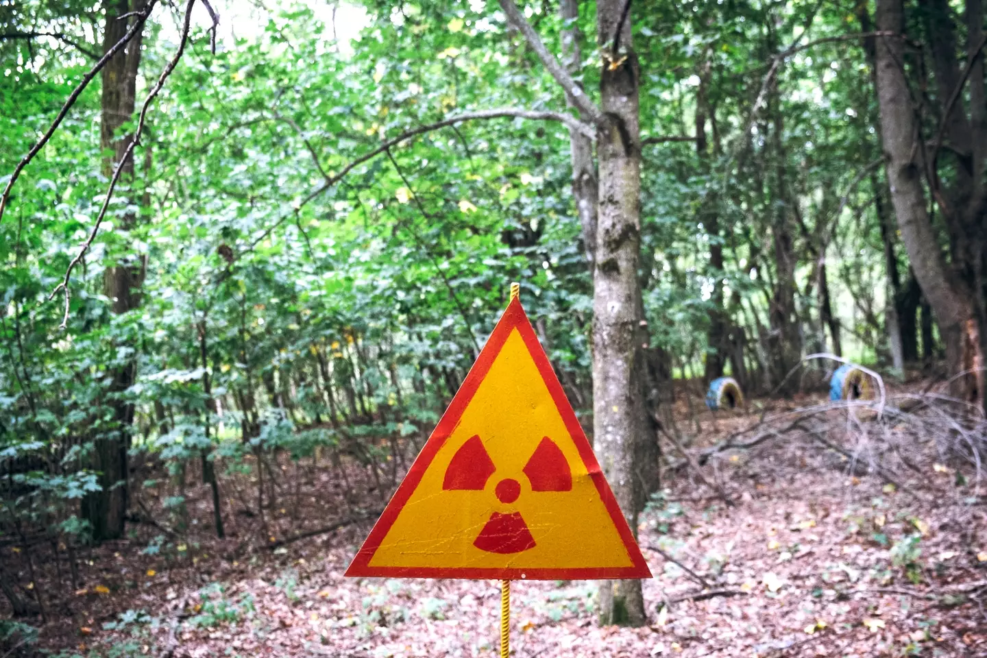 It is still a mystery how the child came across the radioactive material (CORBIS/Corbis via Getty Images)