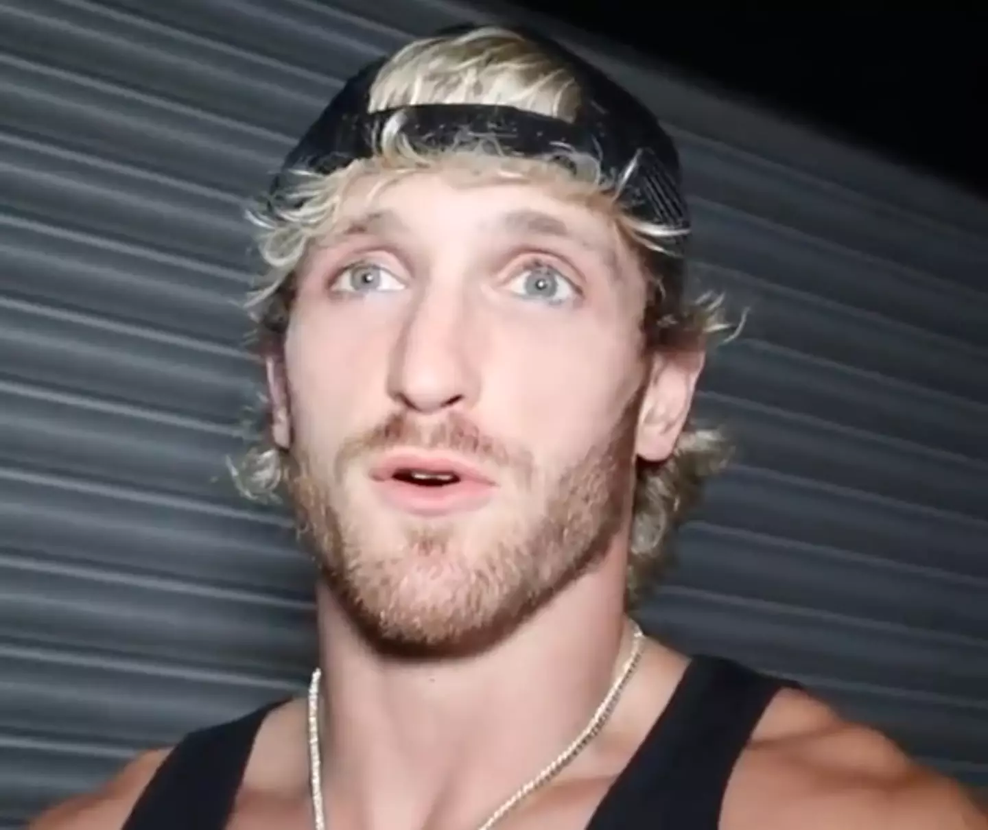 Logan Paul responded to the cruel comments in the days following the Dillon Danis' tweets.
