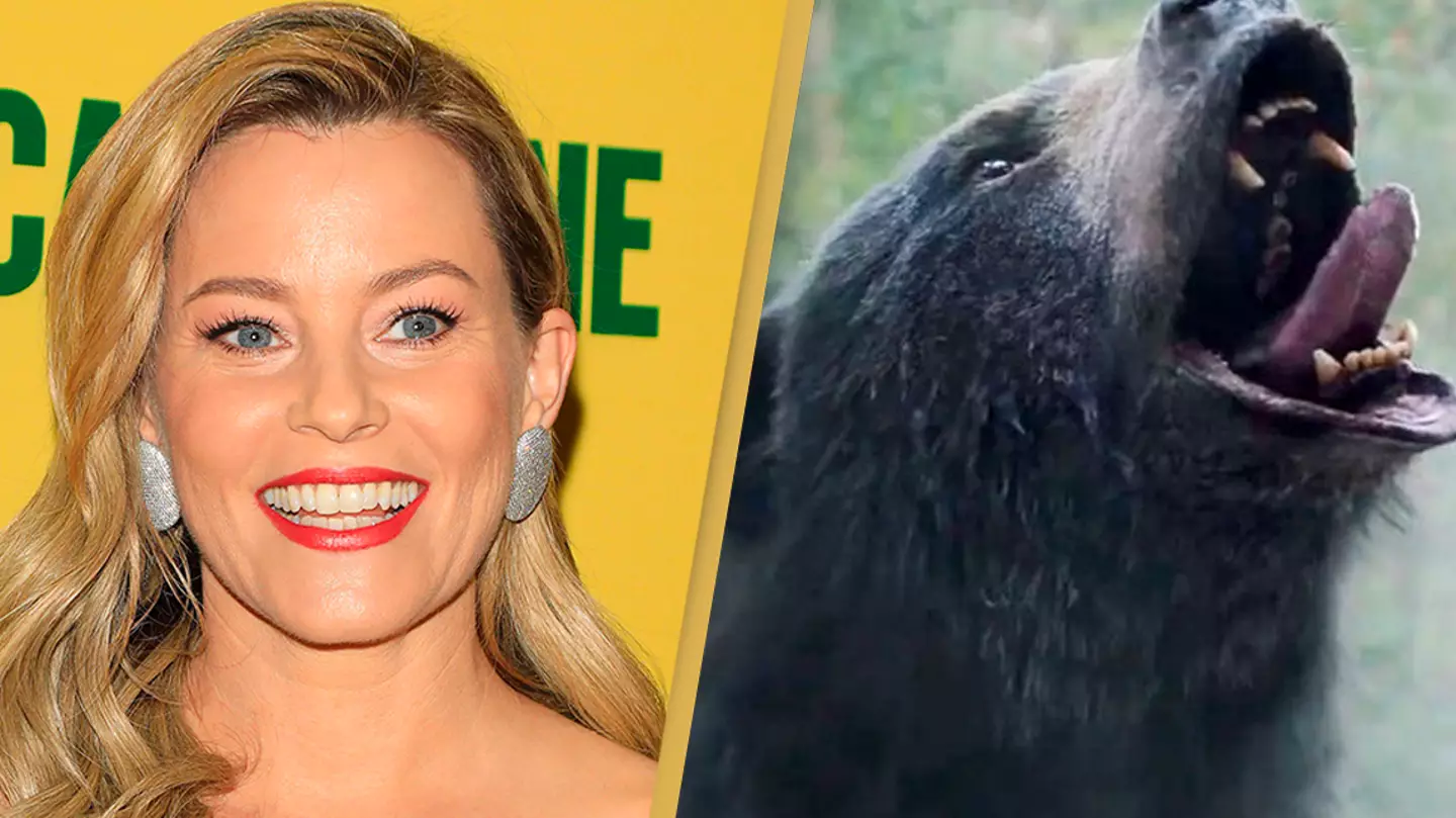 Elizabeth Banks is worried her very gory R-rated Cocaine Bear film could end her career