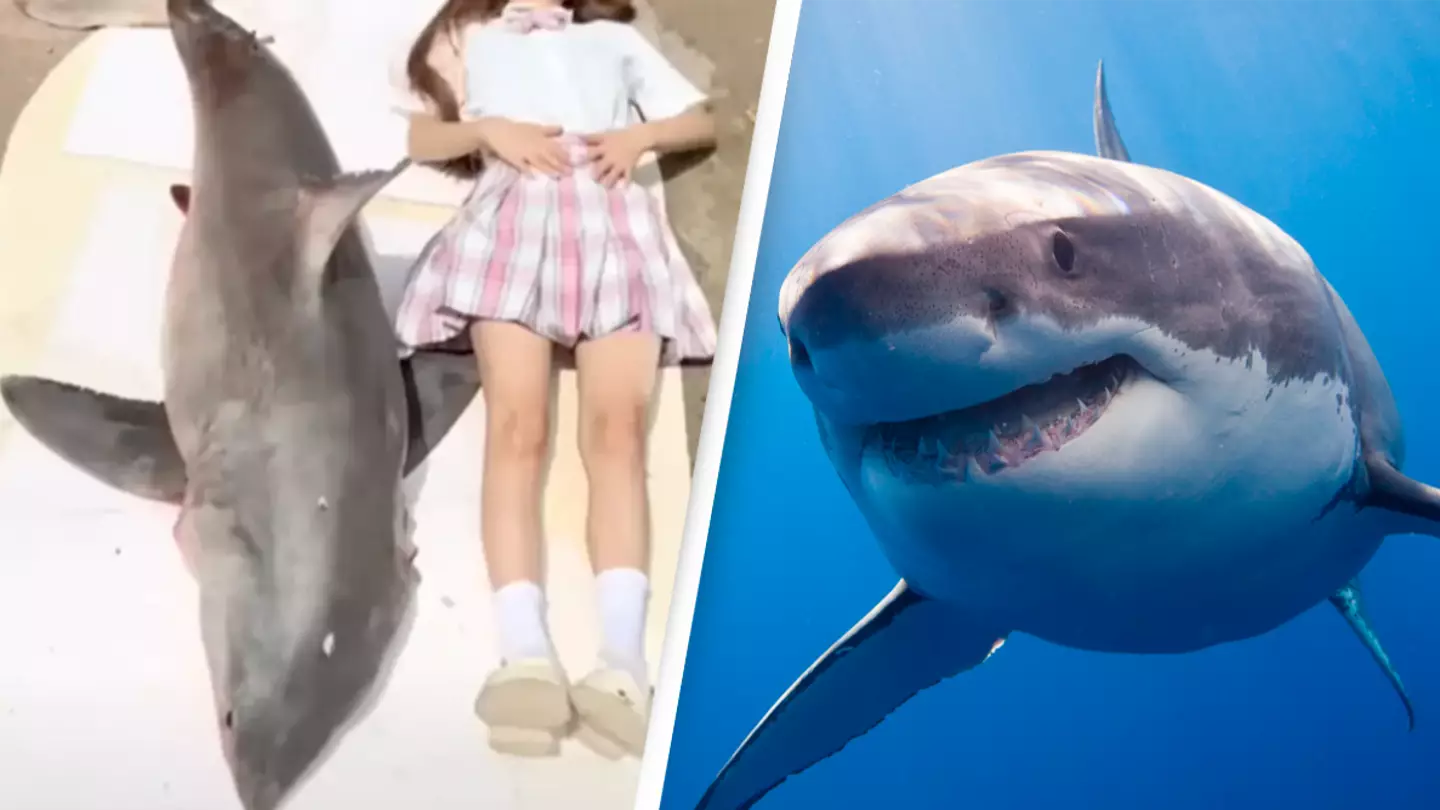 YouTube / Christopher Parsons / Alamy Stock Photo