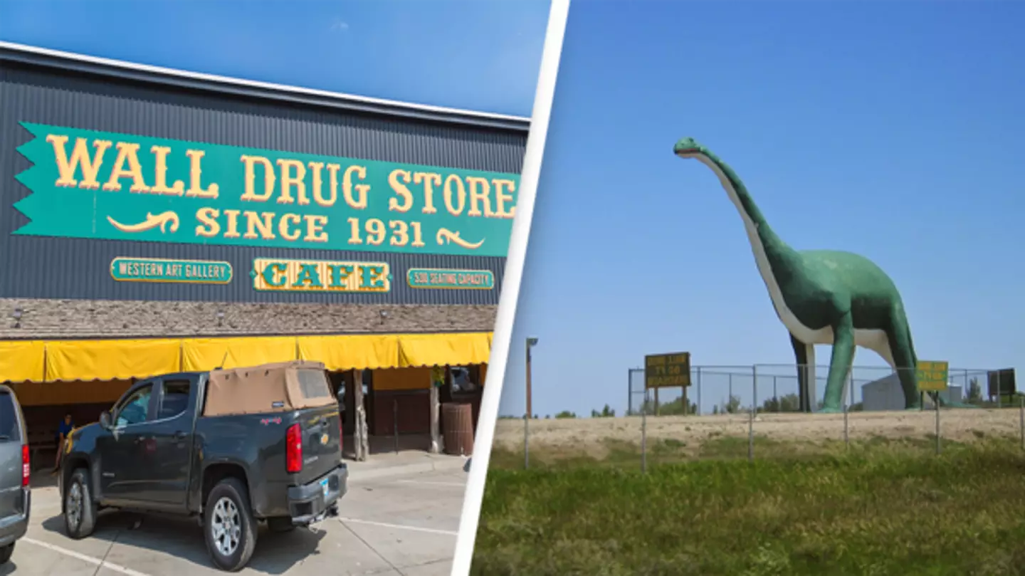 Getty Images/Ron Buskirk/UCG/Universal Images Group/Wikimedia/CC0