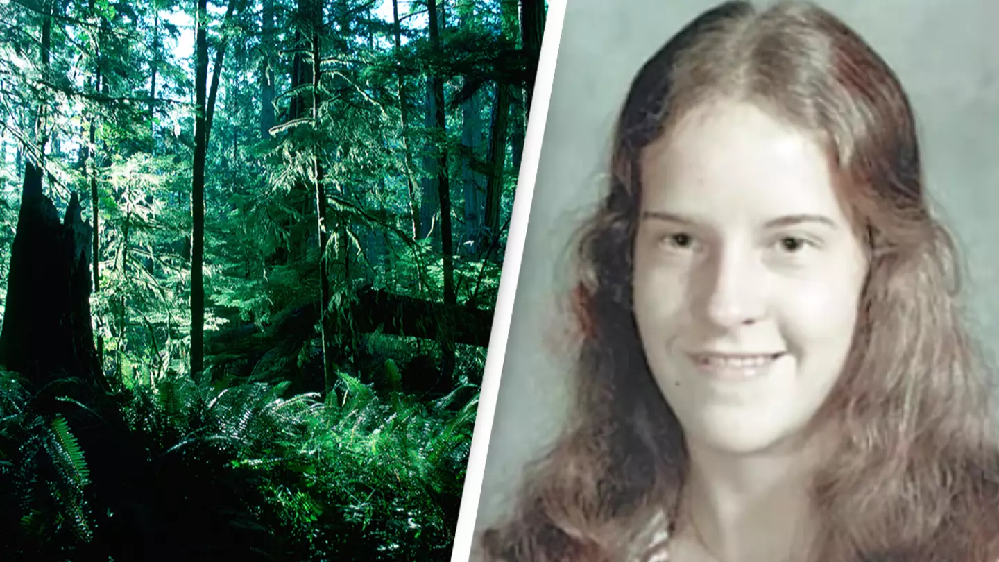 'Feral cannibals' feared to live in US national park where five people have gone missing