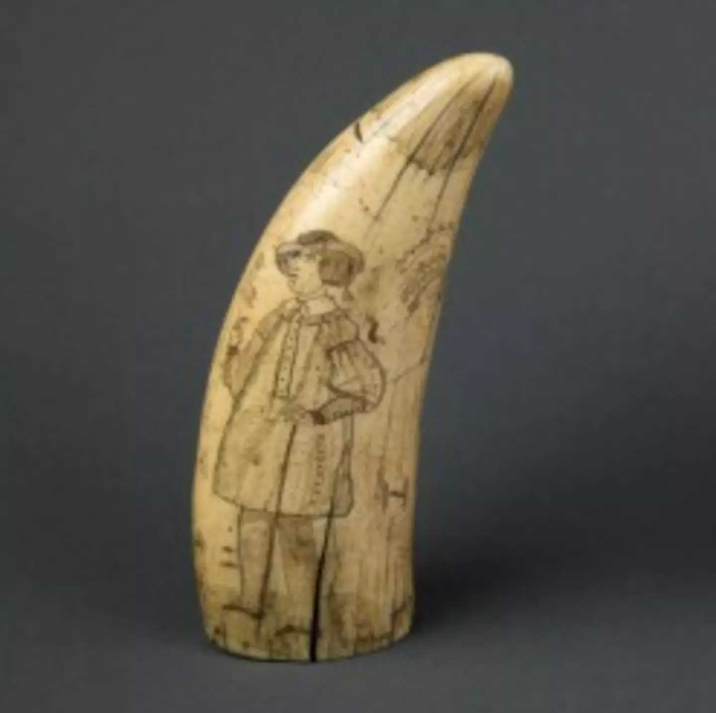 Scrimshaw walrus tusks were amongst the stolen items (Oakland Police Department)