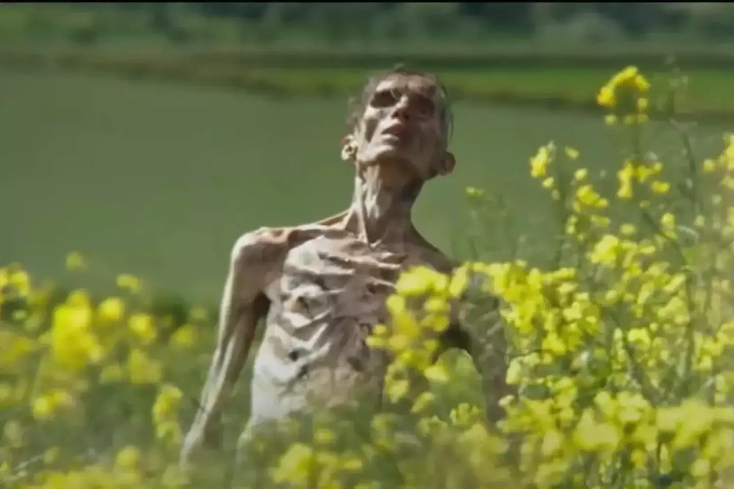 Many people believe Cillian Murphy will return to the '28' film franchise as a zombie (Sony Pictures Entertainment)