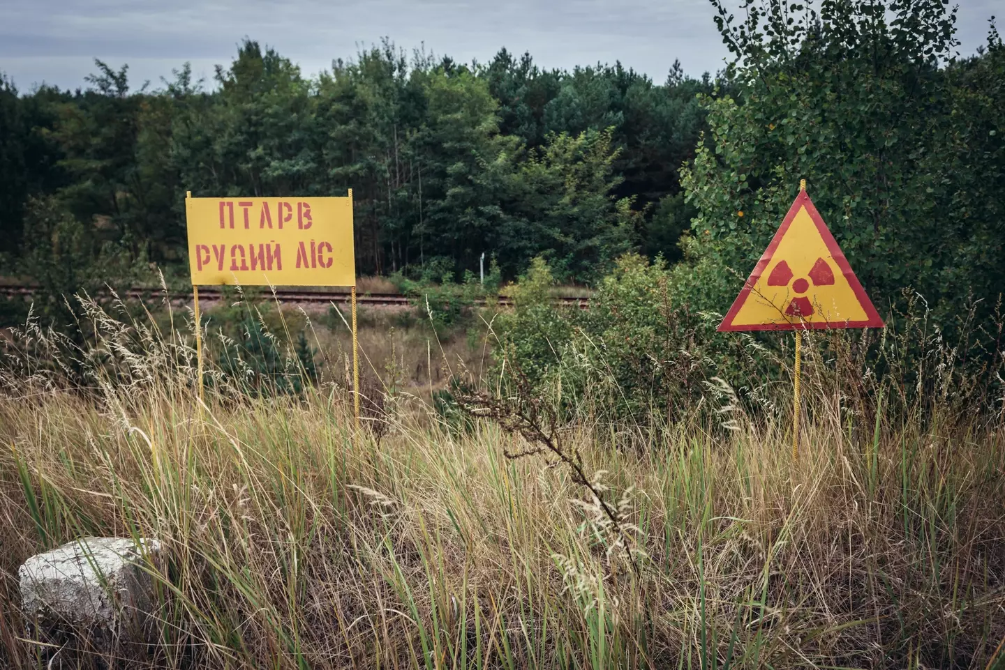 Warning signs outside the red forest.