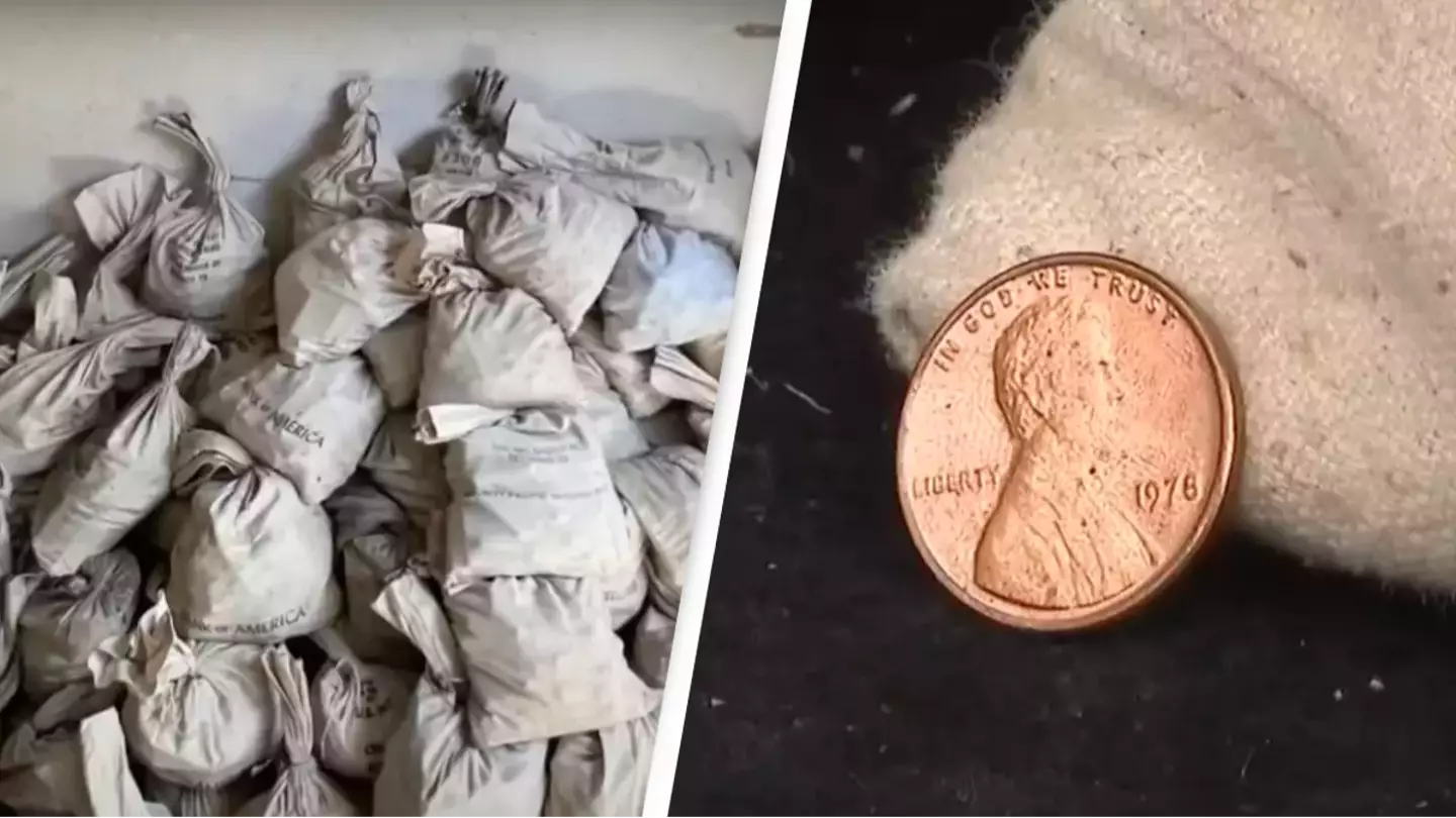 Couple who found 800,000 copper pennies in basement want to sell the lot after struggling to find one rare coin