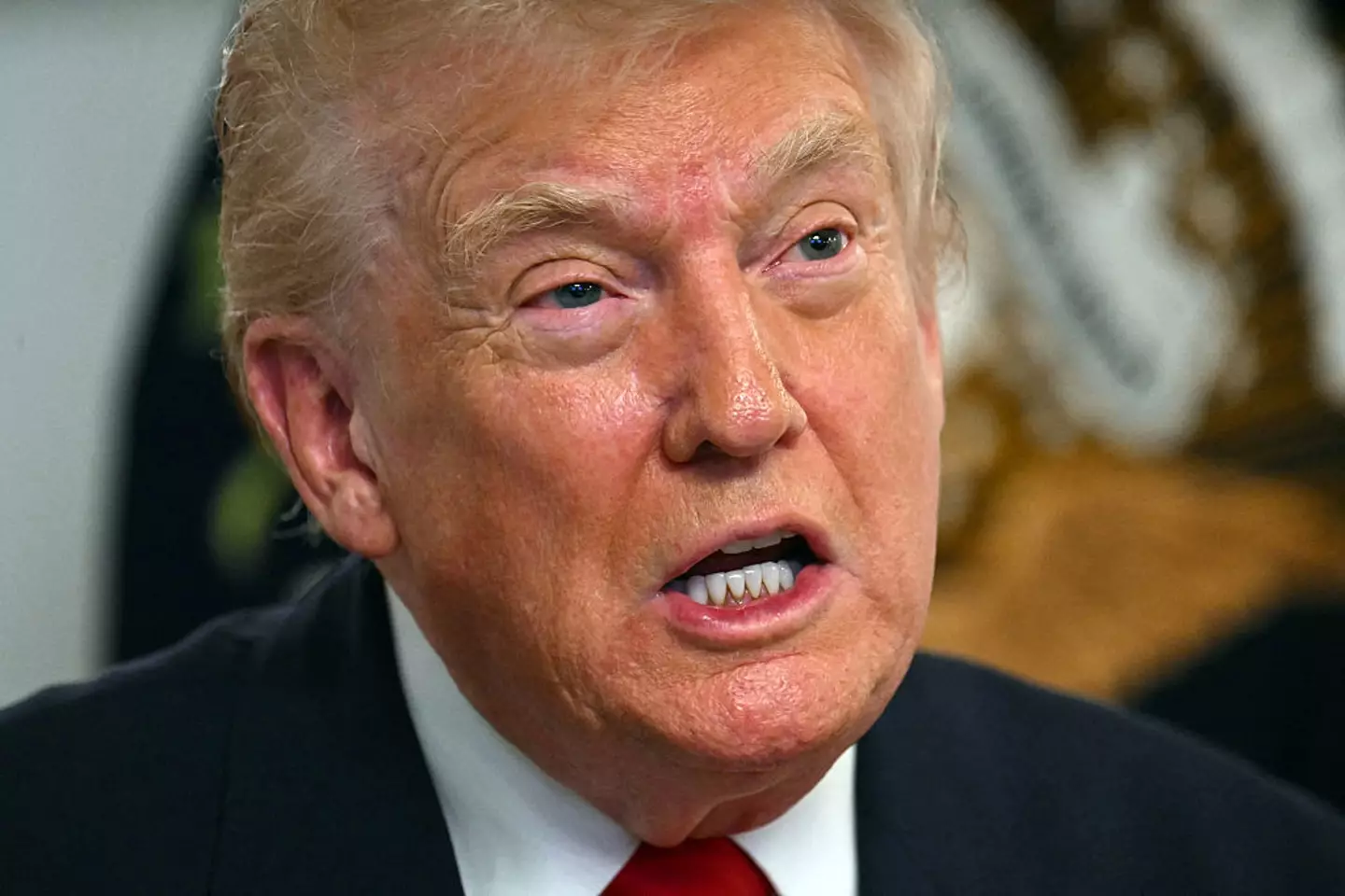 Donald Trump participated in a video call with service members on Thanksgiving (Jim WATSON / AFP via Getty Images)