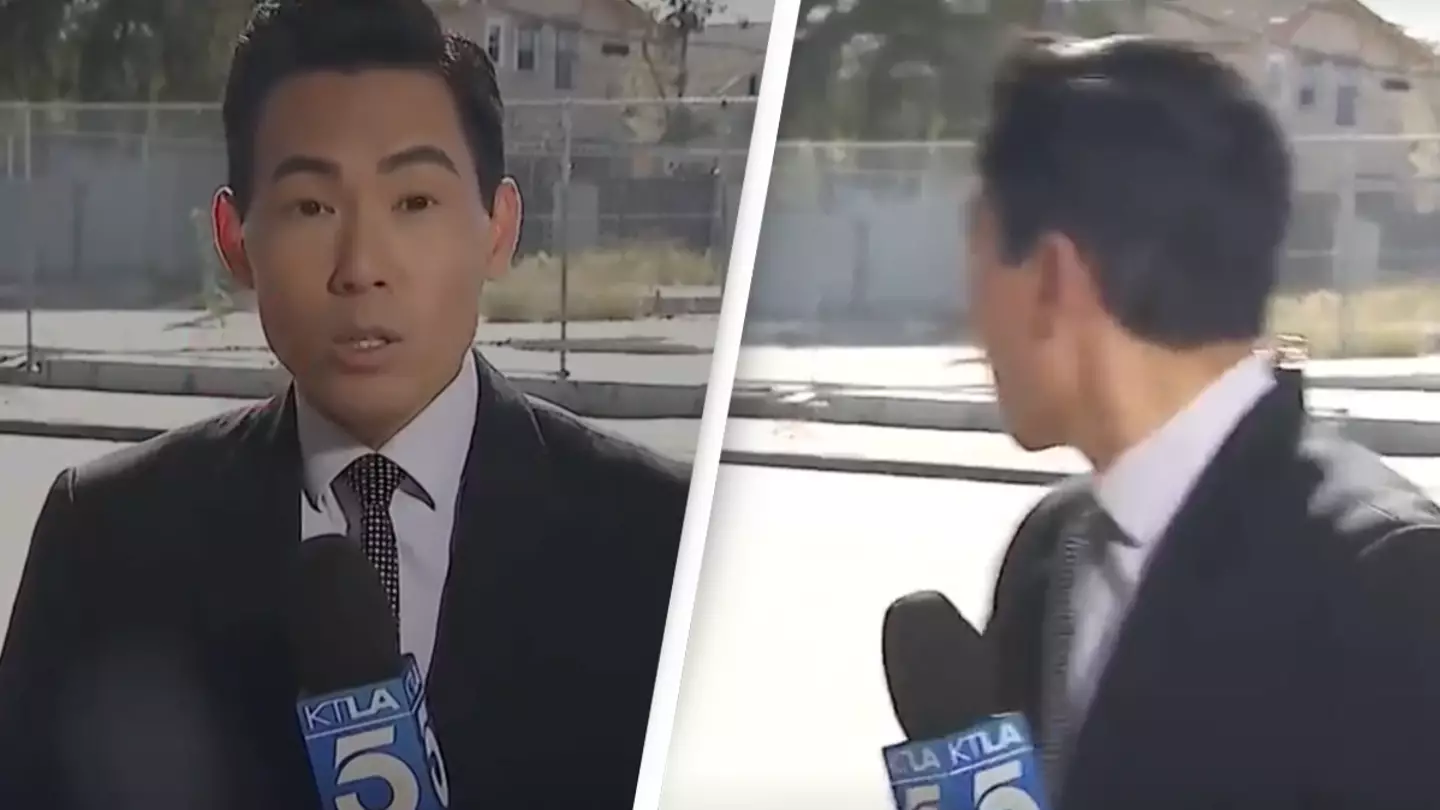 Reporter's Story On Dangerous Road Interrupted By Car Accident