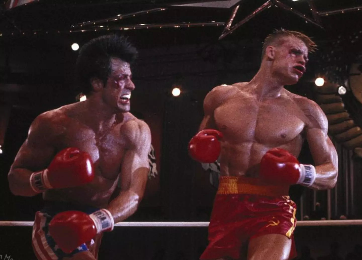 Lungren has previously joked about the incident that saw Stallone end up in hospital.