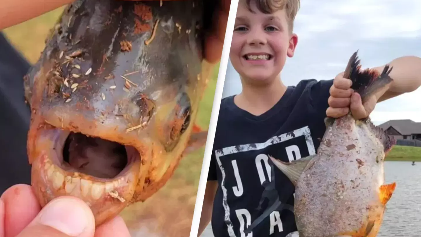 Boy shocked as he reels in fish with 'human' teeth