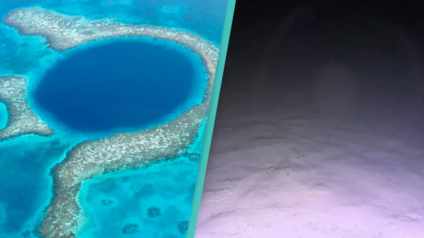 Divers share disturbing discovery after finally getting to the bottom of the Great Blue Hole