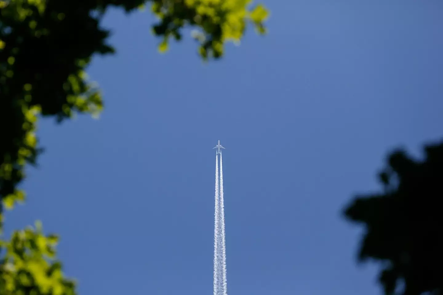 The trails are a common sight in everyday life.