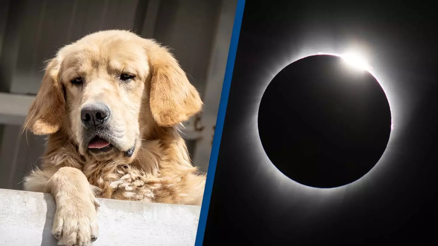 Getty Stock Images