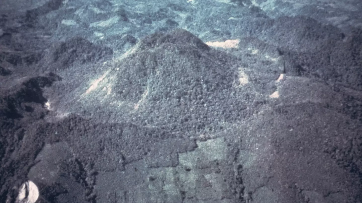 René Canul/Comisión Federal de Electricidad