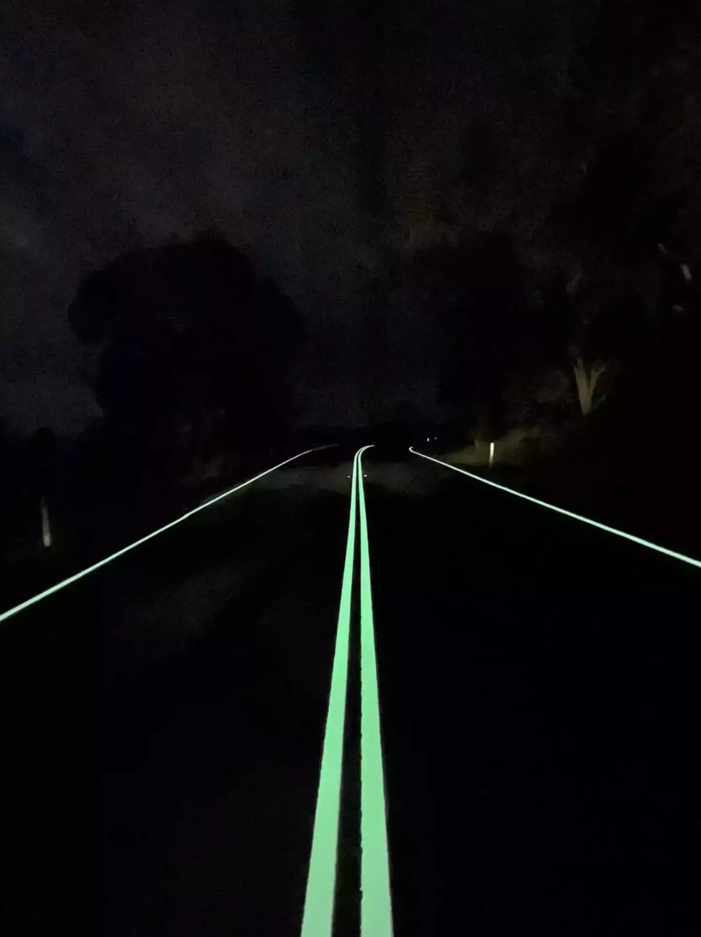 The lines light up at night to help drivers.
