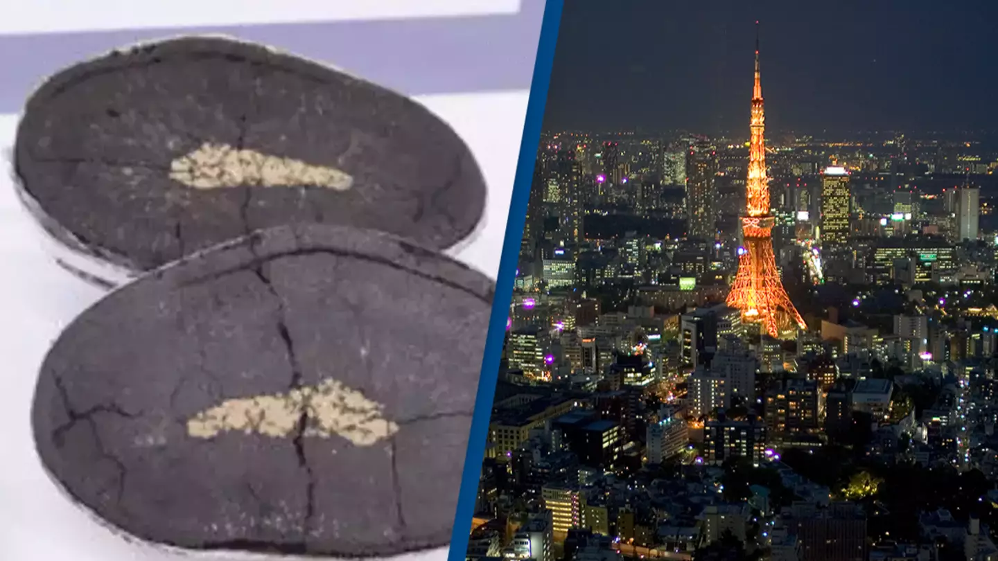 Japan has made a $26,290,780,000 discovery that'll keep its economy topped up for the next decade