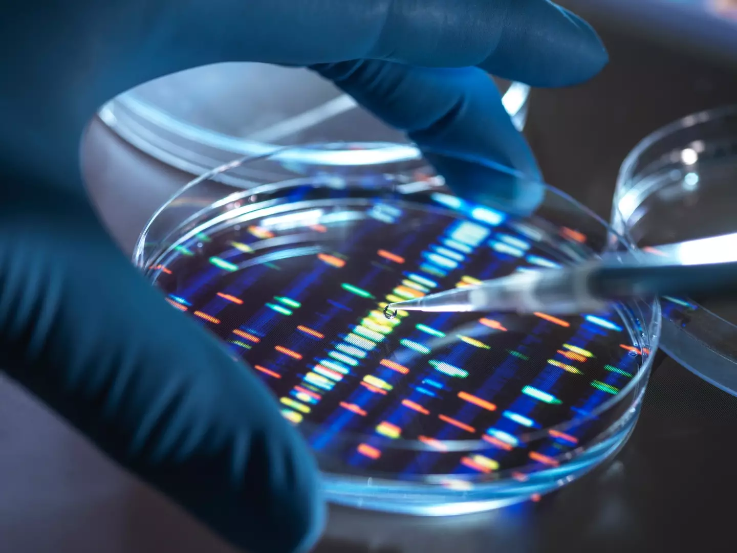 Advancements in DNA testing allowed police to identify the body (Getty stock images)